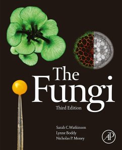 The Fungi (eBook, ePUB) - Watkinson, Sarah C.; Boddy, Lynne; Money, Nicholas