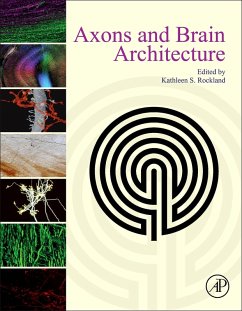 Cover Axons and Brain Architecture (eBook, ePUB)