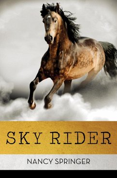 Cover Sky Rider (eBook, ePUB)