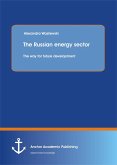 The Russian energy sector: The way for future development (eBook, PDF)