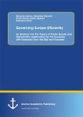 Governing Europe Efficiently: An Analysis into the Theory of Public Goods and Democratic Legitimation for the Eurozone, with Examples from the USA and Canada (eBook, PDF)