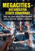 Die neun größten Städte Südafrikas (eBook, ePUB)