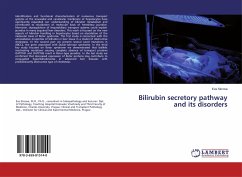 Bilirubin secretory pathway and its disorders