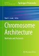 Chromosome Architecture - Bild 1