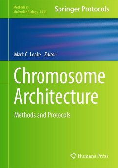 Chromosome Architecture