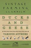 Ducks and Geese (eBook, ePUB)