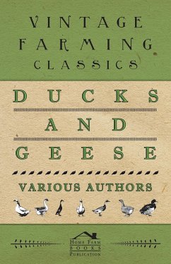 Cover Ducks and Geese (eBook, ePUB)