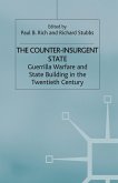 The Counter-Insurgent State