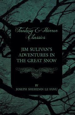 Cover Jim Sulivan's Adventures in the Great Snow (eBook, ePUB)