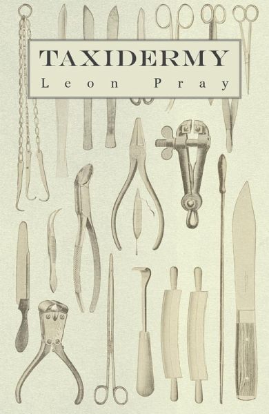 Taxidermy (eBook, ePUB)