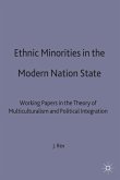 Ethnic Minorities in the Modern Nation State