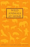 Wild Animals at Home (eBook, ePUB)
