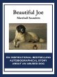 Beautiful Joe (eBook, ePUB) - Bild 1
