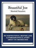 Beautiful Joe (eBook, ePUB)