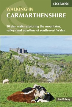 Walking in Carmarthenshire (eBook, ePUB) - Rubery, Jim