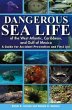 Dangerous Sea Life of the West... - Bild 1