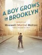 A Boy Grows In Brooklyn (eBook, ePUB) - Bild 1