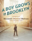 A Boy Grows In Brooklyn (eBook, ePUB)