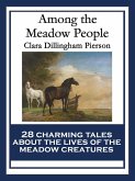 Among the Meadow People (eBook, ePUB)