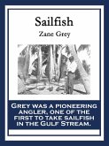 Sailfish (eBook, ePUB)