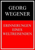 Erinnerungen eines Weltreisenden (eBook, ePUB)