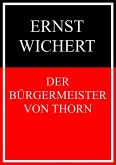 Der Bürgermeister von Thorn (eBook, ePUB)