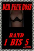 DER NEUE BOSS, Band 1 BIS 5 (eBook, ePUB)