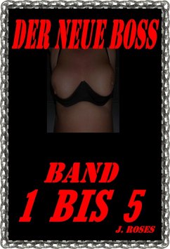 DER NEUE BOSS, Band 1 BIS 5 (eBook, ePUB) Cover DER NEUE BOSS, Band 1 BIS 5 (eBook, ePUB)