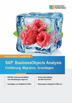 SAP BusinessObjects Analysis - Einführung, Migration, Grundlagen - Karakaya, Zeynep;Bode, Angelika