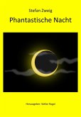 Phantastische Nacht (eBook, ePUB)