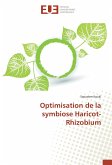 Optimisation de la symbiose Haricot-Rhizobium