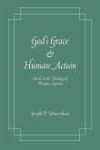 God's Grace and Human Action