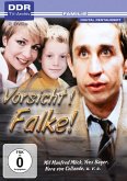 Vorsicht! Falke!