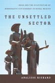 The Unsettled Sector: Ngos and the Cultivation of Democratic Citizenship in Rural Mexico