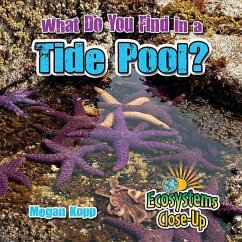 What Do You Find in a Tide Pool? - Kopp, Megan