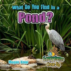 What Do You Find in a Pond? - Kopp, Megan