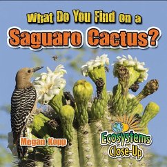 What Do You Find on a Saguaro Cactus? - Kopp, Megan