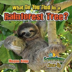 What Do You Find in a Rainforest Tree? - Kopp, Megan