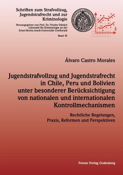 Jugendstrafvollzug und Jugendstrafrecht in Chile, Peru und Bolivien unter besonderer Berücksichtigung von nationalen und internationalen Kontrollmechanismen - Morales, Álvaro Castro