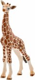 Schleich 14751 - Giraffenbaby