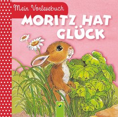 Moritz hat Glück (eBook, ePUB) - Pabst, Ingrid