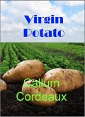 Virgin Potato (eBook, ePUB)