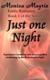 Just One Night (1) (eBook, ePUB)