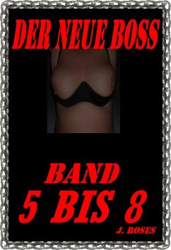 Cover DER NEUE BOSS, Teil 5 bis 8 (eBook, ePUB)