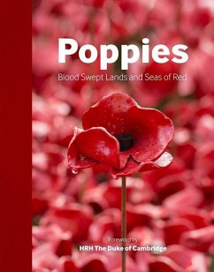 Poppies: Blood Swept Lands and Seas of Red - Imperial War Museums