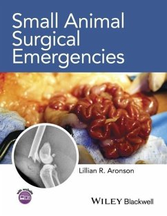 Small Animal Surgical Emergencies (eBook, PDF)
