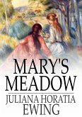 Mary's Meadow (eBook, ePUB)