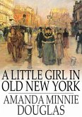 Little Girl in Old New York (eBook, ePUB)