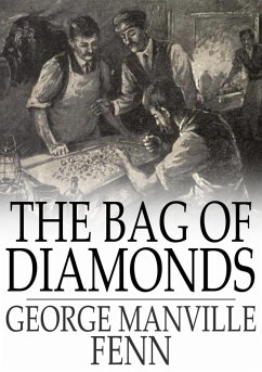 Cover Bag of Diamonds (eBook, ePUB)