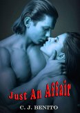 Just An Affair (eBook, ePUB)